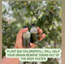 Load image into Gallery viewer, Chlorophyll Shots