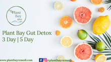 Load image into Gallery viewer, Plant Bay Gut/Colon Detox