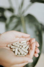 Load image into Gallery viewer, Sea Moss Capsules | Natures Multi-vitamin