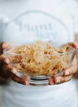 Load image into Gallery viewer, 100% Wildcrafted - St. Lucia Gold Raw Sea Moss
