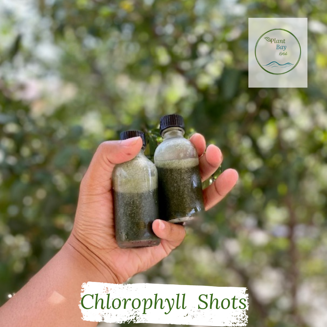 Chlorophyll Shots